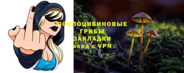 jwh Сосновка