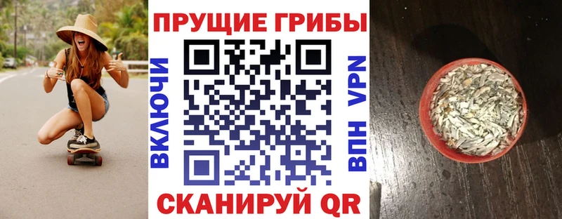 магазин  наркотиков  Валдай  Псилоцибиновые грибы GOLDEN TEACHER 